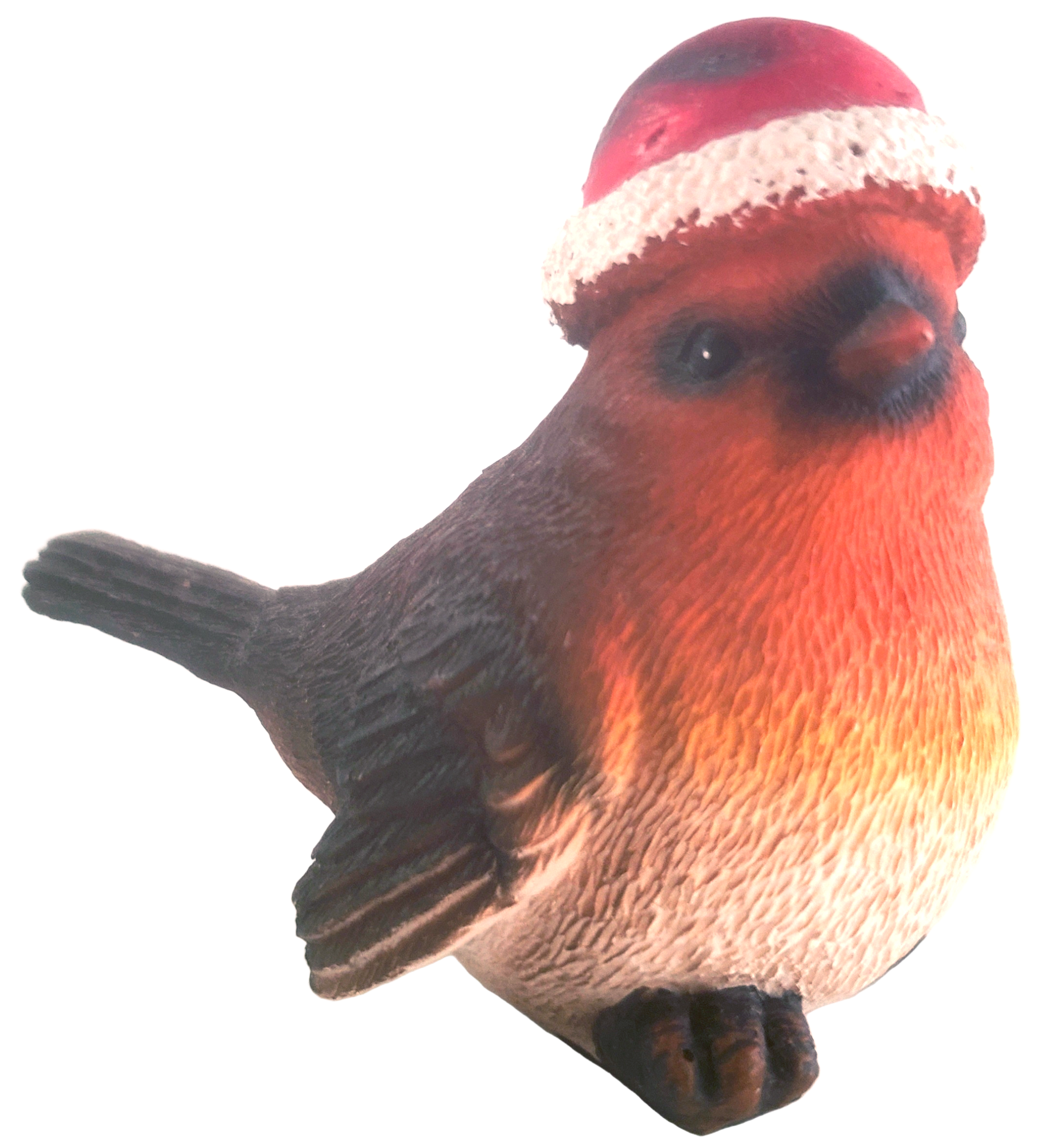 Robin wearing a Santa hat